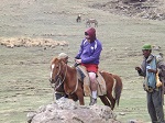 horse trekking