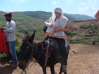 Camel & horse trekking
